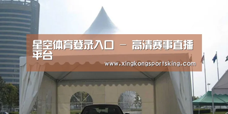 案例标题八