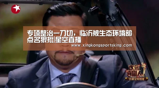 专项整治一刀切,临沂被生态环境部点名狠批|星空直播(图1) 星空下载