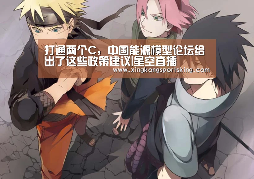 打通两个C,中国能源模型论坛给出了这些政策建议|星空直播(图4) 星空官网