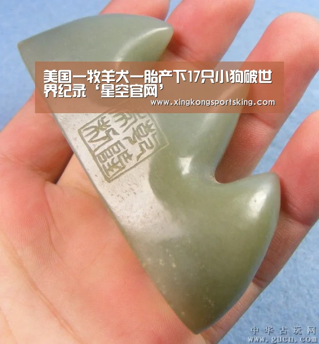 星空官网
