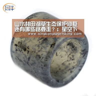 山水林田湖草生态保护修复还有哪些路要走？：星空下载