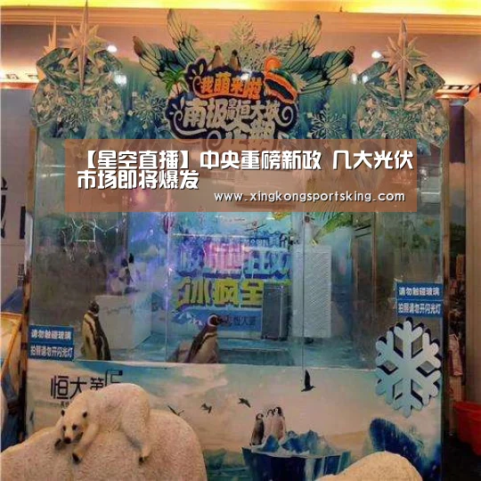 【星空直播】中央重磅新政 几大光伏市场即将爆发(图2) 星空下载