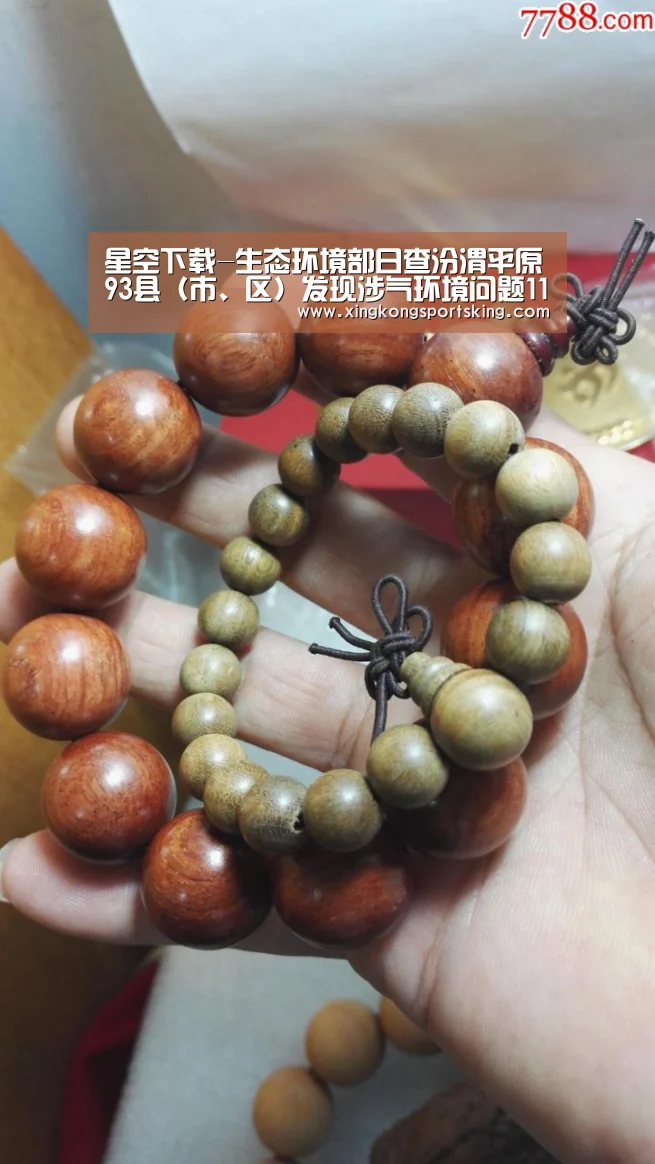 星空下载-生态环境部日查汾渭平原93县(市、区)发现涉气环境问题110个(8月22日)(图2) 星空直播