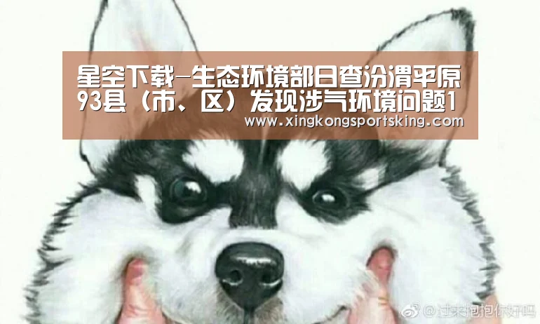 星空下载-生态环境部日查汾渭平原93县(市、区)发现涉气环境问题110个(8月22日)(图1) 星空直播