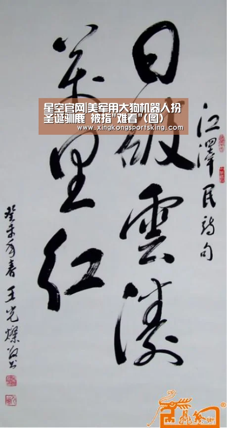 星空官网|美军用大狗机器人扮圣诞驯鹿 被指难看(图)(图1) 星空官网