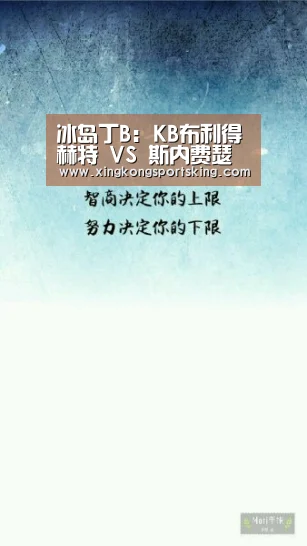 冰岛丁B: KB布利得赫特 VS 斯内费瑟斯赛出小球比分0:1【星空竞猜】(图1) 星空直播