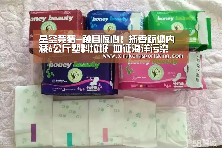 星空竞猜-触目惊心!抹香鲸体内藏6公斤塑料垃圾 血证海洋污染(图1) 星空竞猜