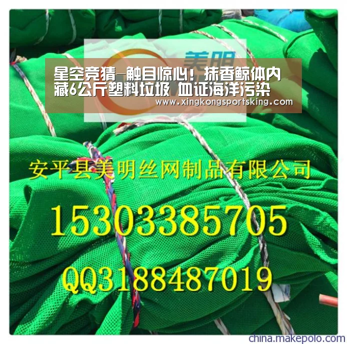 星空竞猜-触目惊心!抹香鲸体内藏6公斤塑料垃圾 血证海洋污染(图3) 星空官网
