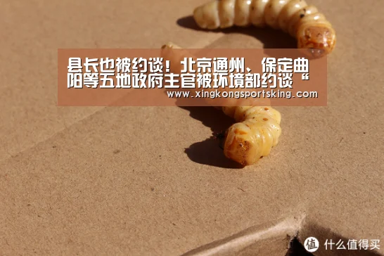 县长也被约谈!北京通州、保定曲阳等五地政府主官被环境部约谈“星空直播”(图3) 星空竞猜