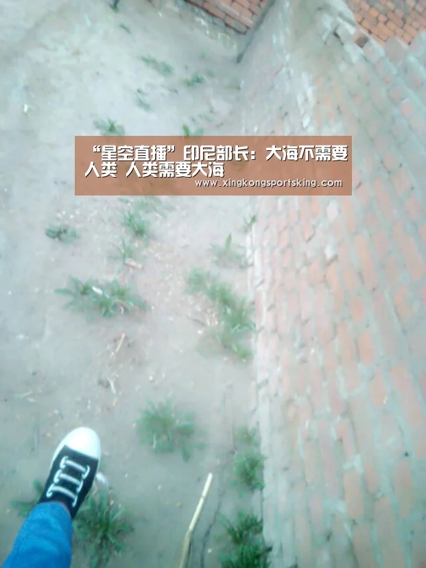 “星空直播”印尼部长:大海不需要人类 人类需要大海(图2) 星空官网