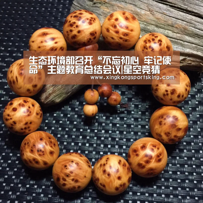 生态环境部召开“不忘初心 牢记使命”主题教育总结会议|星空竞猜(图2) 星空下载