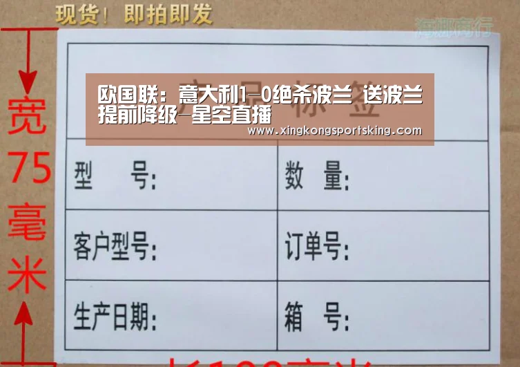 欧国联:意大利1-0绝杀波兰 送波兰提前降级-星空直播(图2) 星空直播