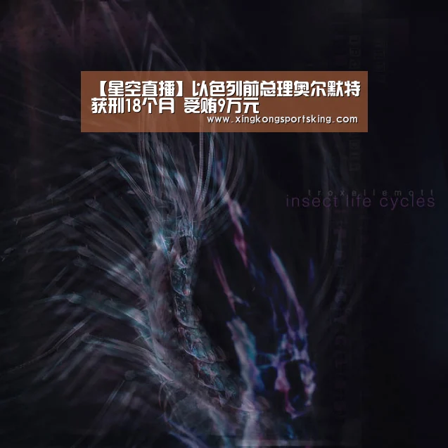 【星空直播】以色列前总理奥尔默特获刑18个月 受贿9万元(图2) 星空直播