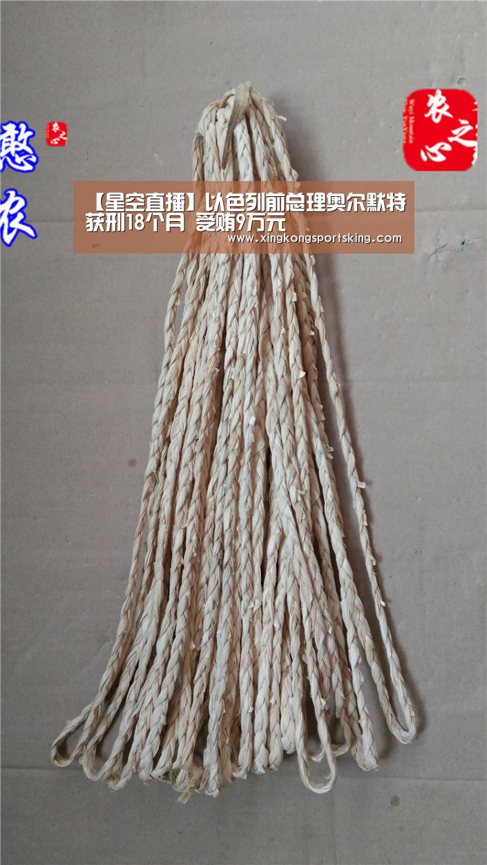 【星空直播】以色列前总理奥尔默特获刑18个月 受贿9万元(图4) 星空竞猜